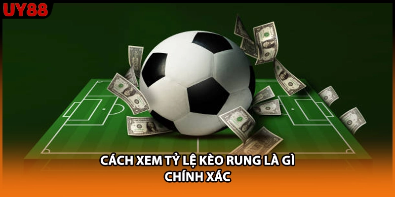 Cách xem tỷ lệ kèo rung là gì chính xác