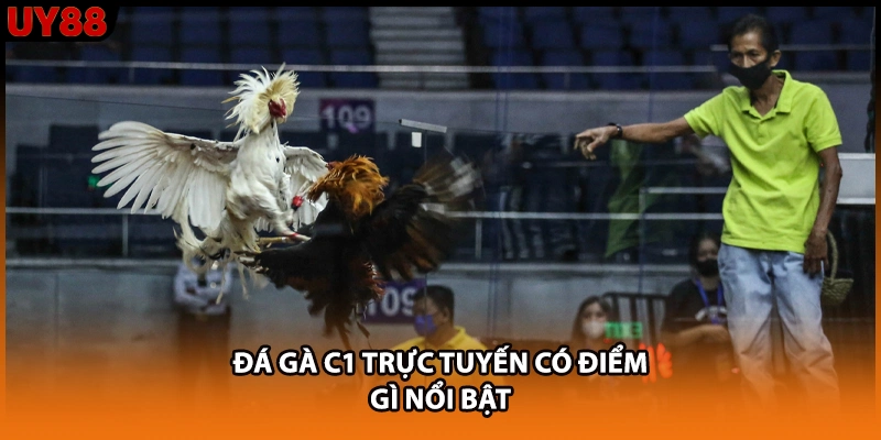 Đá gà C1 trực tuyến có điểm gì nổi bật