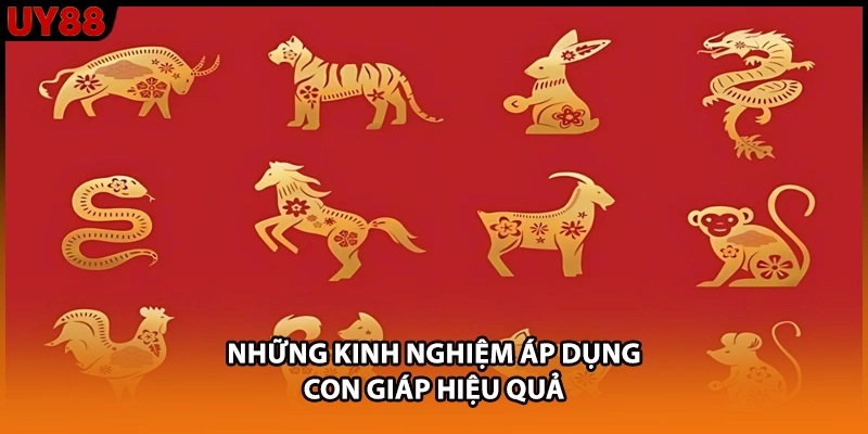 Những kinh nghiệm áp dụng con giáp hiệu quả