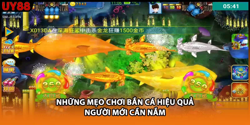 Những mẹo chơi bắn cá hiệu quả người mới cần nắm
