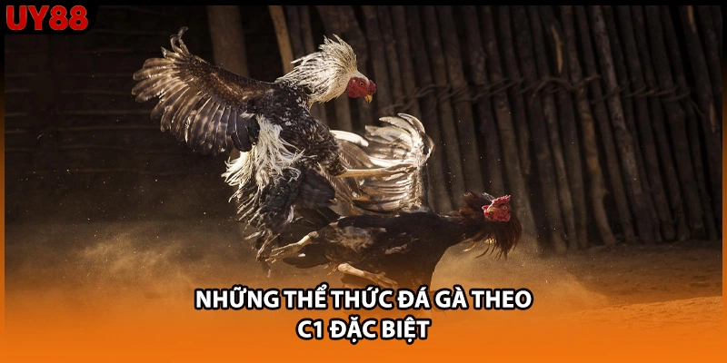 Những thể thức đá gà theo C1 đặc biệt
